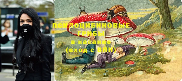 дурь Абинск