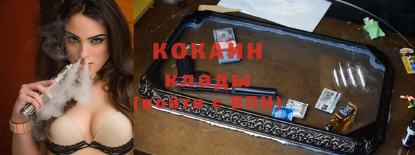 ГАЛЛЮЦИНОГЕННЫЕ ГРИБЫ Абаза