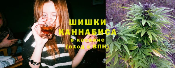 индика Алексеевка