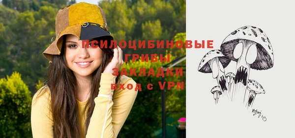 ГАЛЛЮЦИНОГЕННЫЕ ГРИБЫ Абаза
