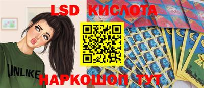 гидра Новодвинск