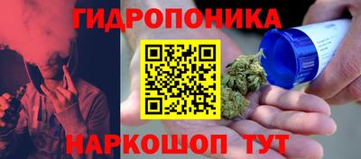 гидра Новодвинск