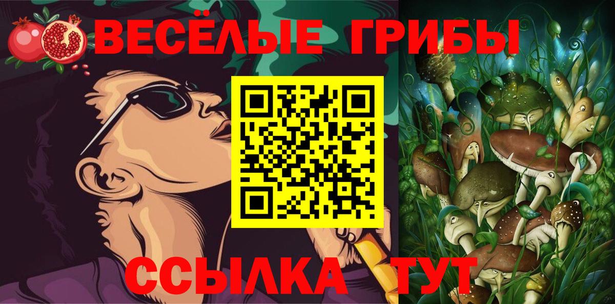 Благовещенск  Галлюциногенные грибы MAGIC MUSHROOMS  Вход с VPN 